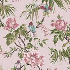 Graham & Brown Next Birds &