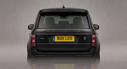 Bu11 leo private cherished - leo,