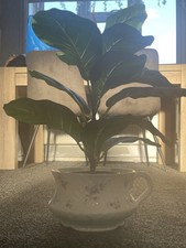 Unusual Jardiniere Planter Oversize Tea Cup Bairstow Manor Pottery