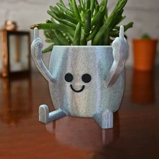 Middle Finger Planter Pot