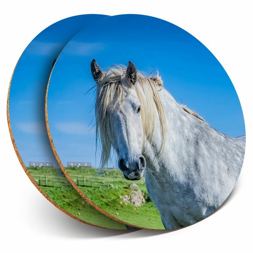 Coasters highland pony - 2, x