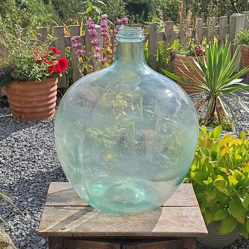 Large glass carboy demijohn - large,