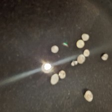 Loose Diamonds X 10,  Tested With Gemstone Test, Real. approx. Size, 1 mm-4 mm.