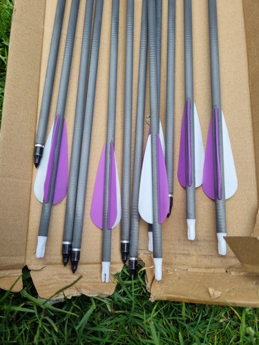 12x carbon arrows sp500 - carbon,