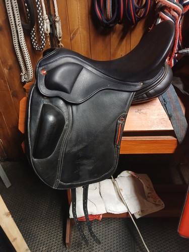 Albion revolution dressage - albion,