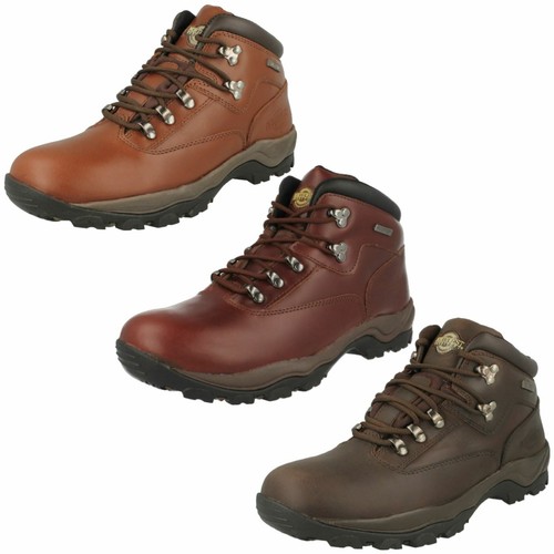 Mens northwest territory - northwest, lace