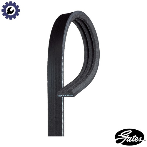 Vribbed belt 3pk913 for fiat - belt,