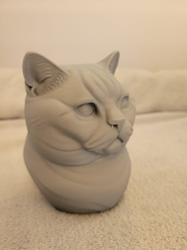 British shorthair cat bust - british,