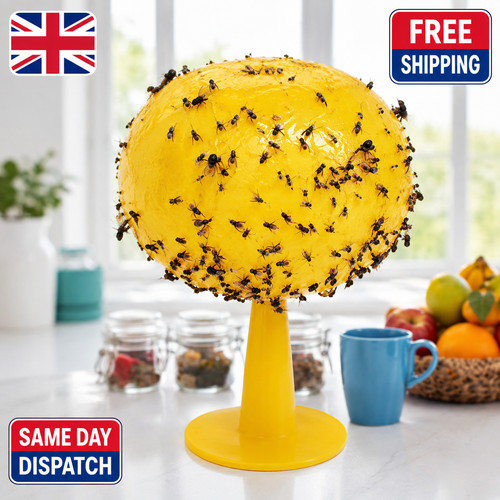 Fruit fly balls ball - fruit, trap