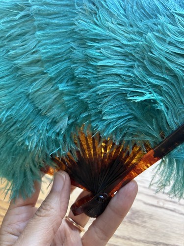 Antique ostrich feather fan - feather,
