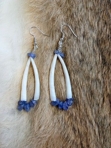 Dentalium shell tanzanite - shell,