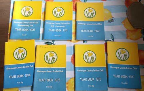 Glamorgan county cricket - county,
