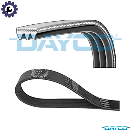 Vribbed belt 3pk736 for - 3pk736, mg