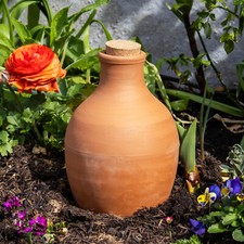 Olla Terracotta Irrigation Pot