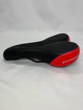 Schwinn Tingbo Indoor Outdoor