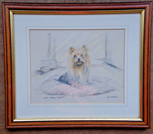 Gill evans yorkshire - evans,
