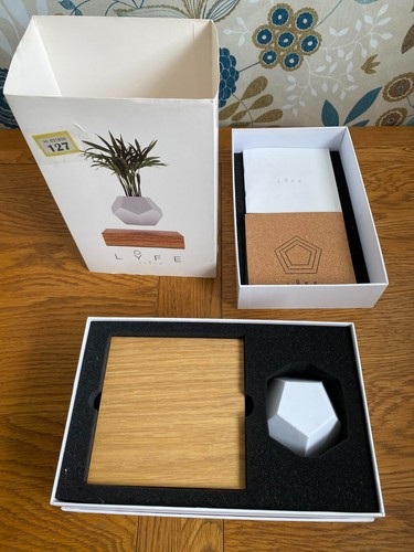Flyte lyfe floating flower pot - flyte,