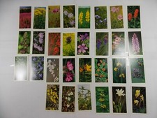 Grandee Cigar Cigarette Cards