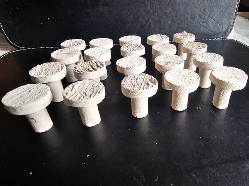 Coral ceramic frag - coral,