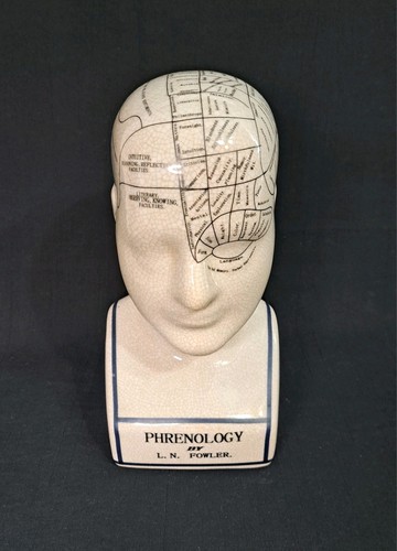 Phrenology head bust n - phrenology,