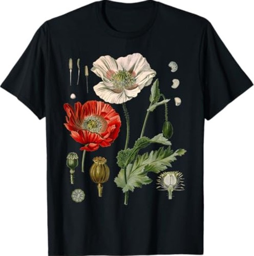 Red poppy botanical poppies - red,