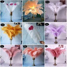 Long quality ostrich feathers - long,