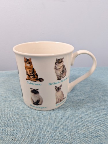 Leonardo collection mug - leonardo,