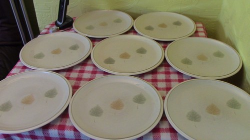 Denby energy leaf dinner - denby,