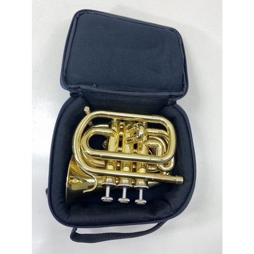 Carol brass pocket - carol,