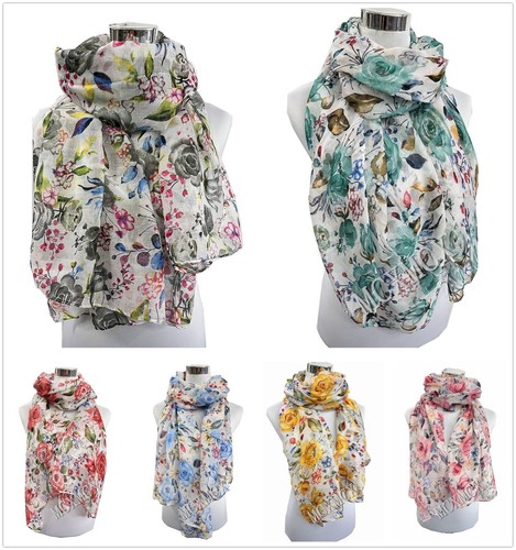 New colourful rose - rose, flower