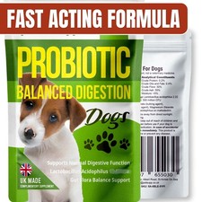 Dog Probiotic Tablets for Gut
