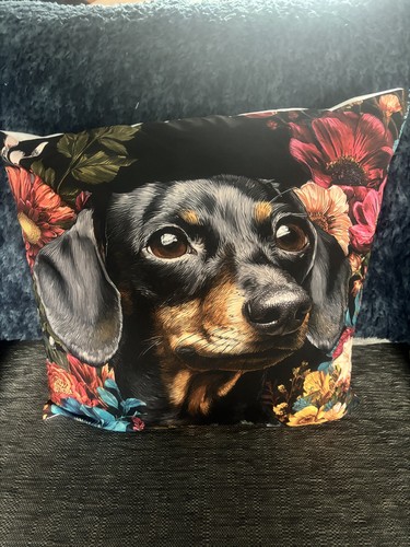 Black and tan dachshund - and,