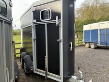 2016 IFOR Williams HB403 Mare