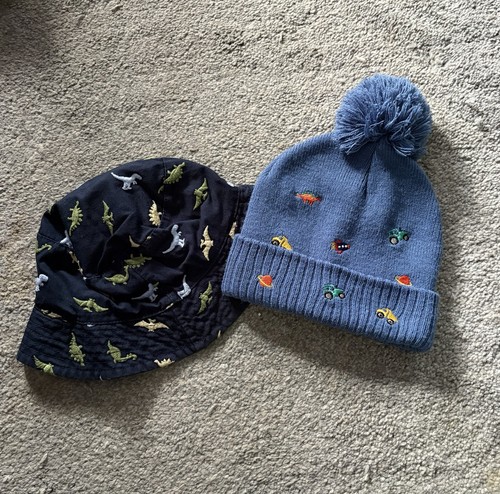 Boys dinosaur bucket - , hat