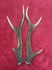 PAIR OF SIKA DEER ANTLERS
