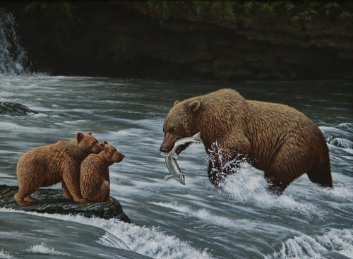 Stephen gayford brown - gayford,, bears