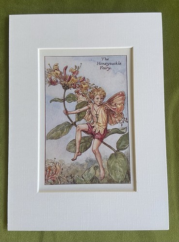 Honeysuckle flower fairy - ‘honeysuckle’,