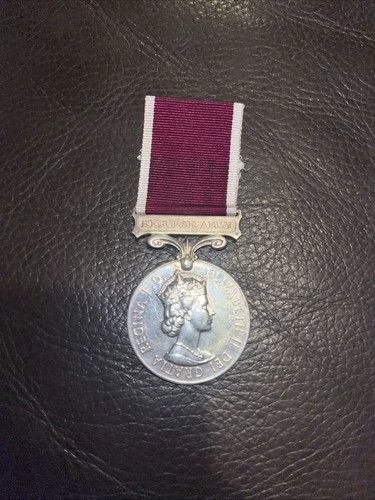 Army long service 22029826 - army,