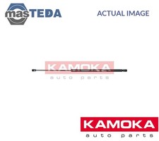 7092187 TAILGATE BOOT STRUT