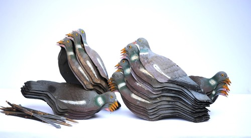 Shell pigeon decoy - pigeon,