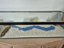 Big Shallow Turtle Or Fish Tank With All Equipments And Decorations