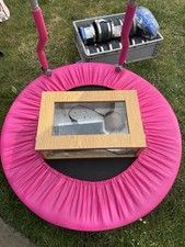 Small Vivarium snake spider