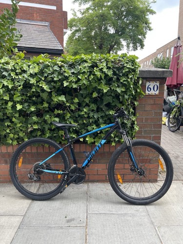 Giant mountain bike - mountain,