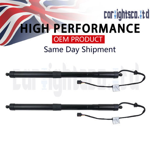 Rear electric tailgate gas - 2x,