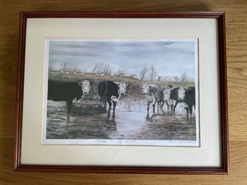 Alex williams signed print - williams,
