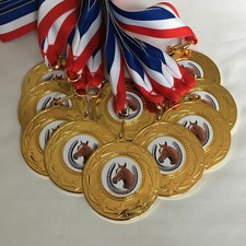 Equestrian Horse Medals & Ribbons, Horse Trophy Award Packs of 5, 10 or more