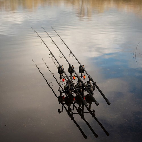 Fox eos carp rods new - eos,