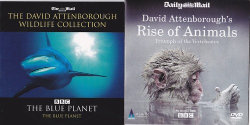 Daily mail promo dvds david - daily,