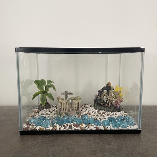 Medium sized fish - medium, 40cm