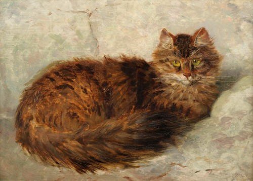Henriette ronner knip cat - cat, 7x5
